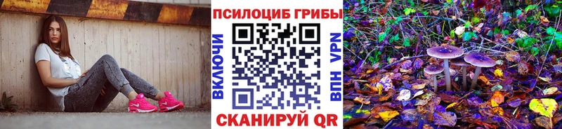 Псилоцибиновые грибы прущие грибы  Ахтубинск 