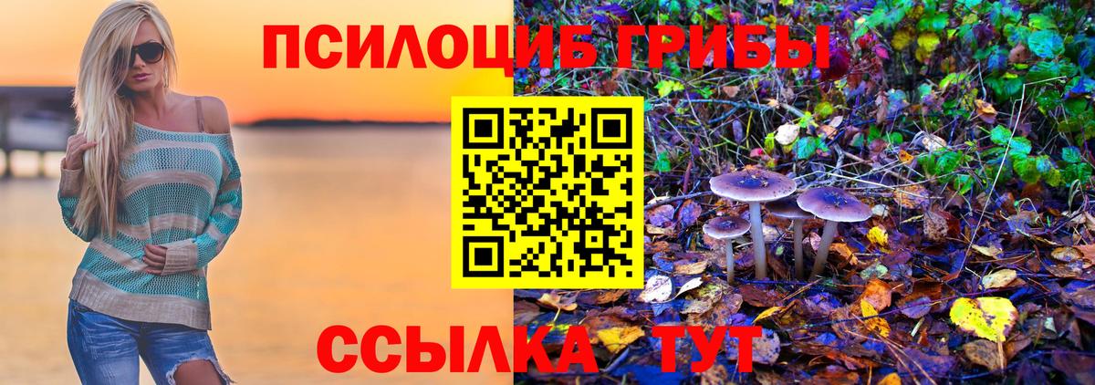 Ахтубинск  Галлюциногенные грибы Psilocybe  Псилоцибиновые грибы мухоморы  Вход с VPN 