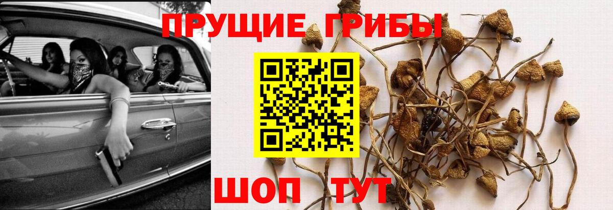 Галлюциногенные грибы MAGIC MUSHROOMS Ахтубинск
